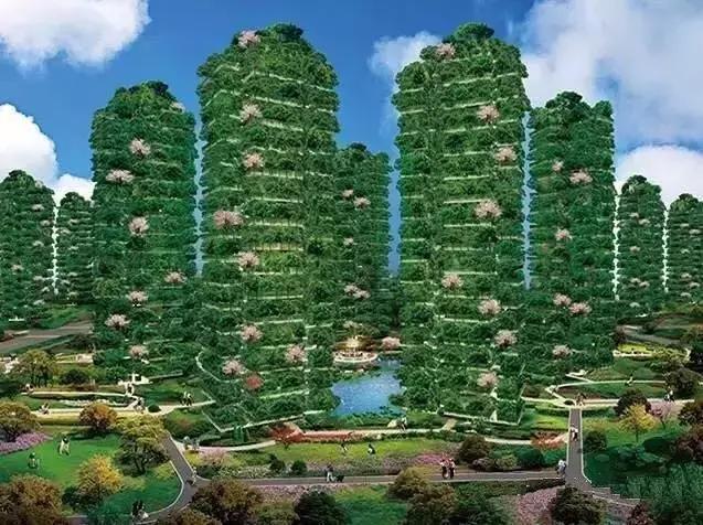 圣德保陶瓷森態(tài)石｜把森林“植”入家，凈享天然氧！