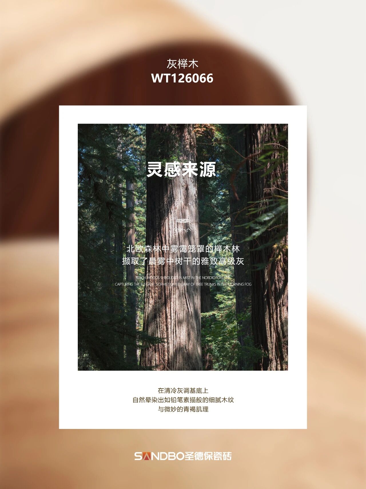 1765356926103413.jpg 0 (1).jpg